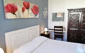 Blue Dolphin Guest House